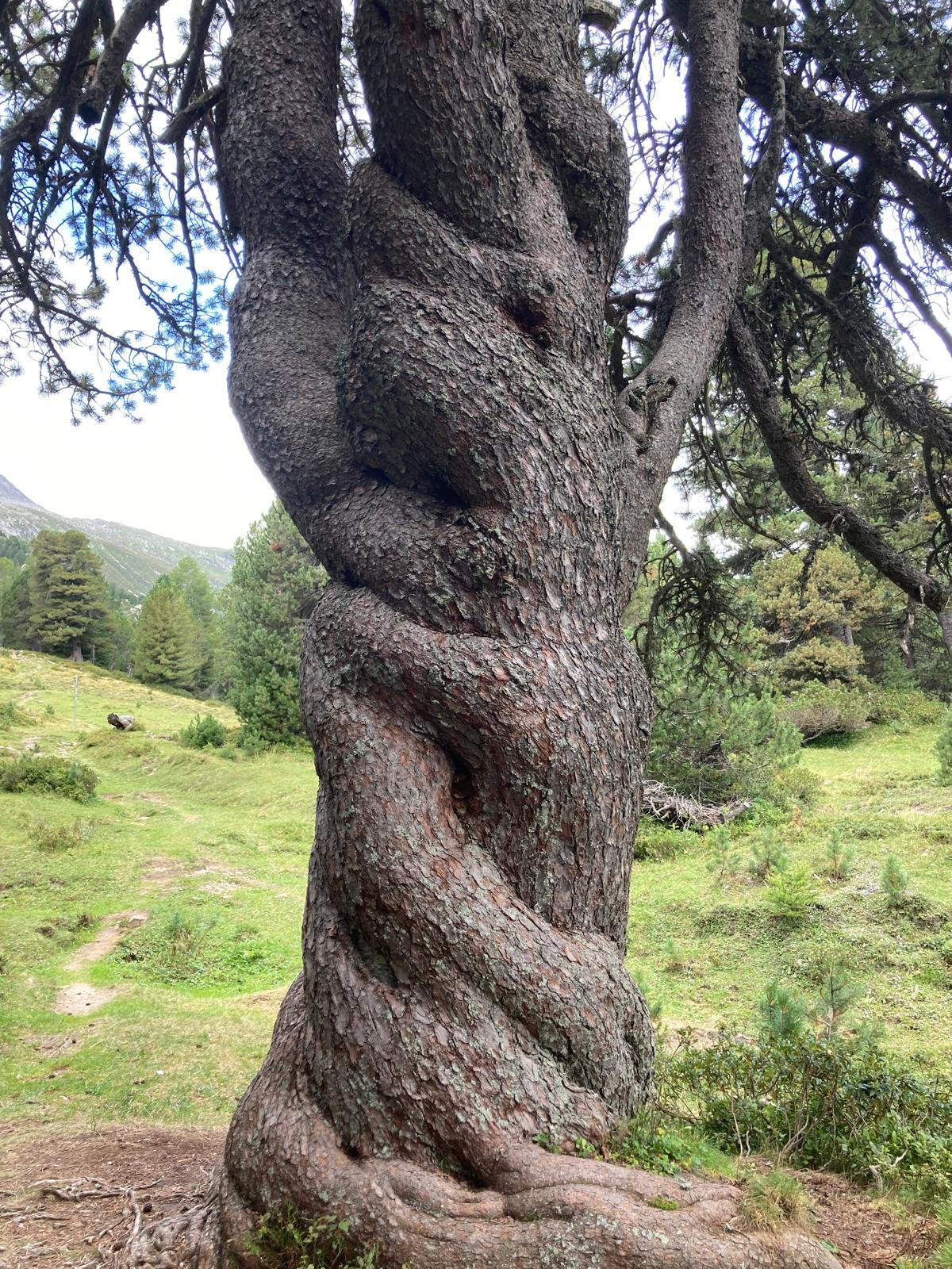 Karten im Kreis um eine Kerze