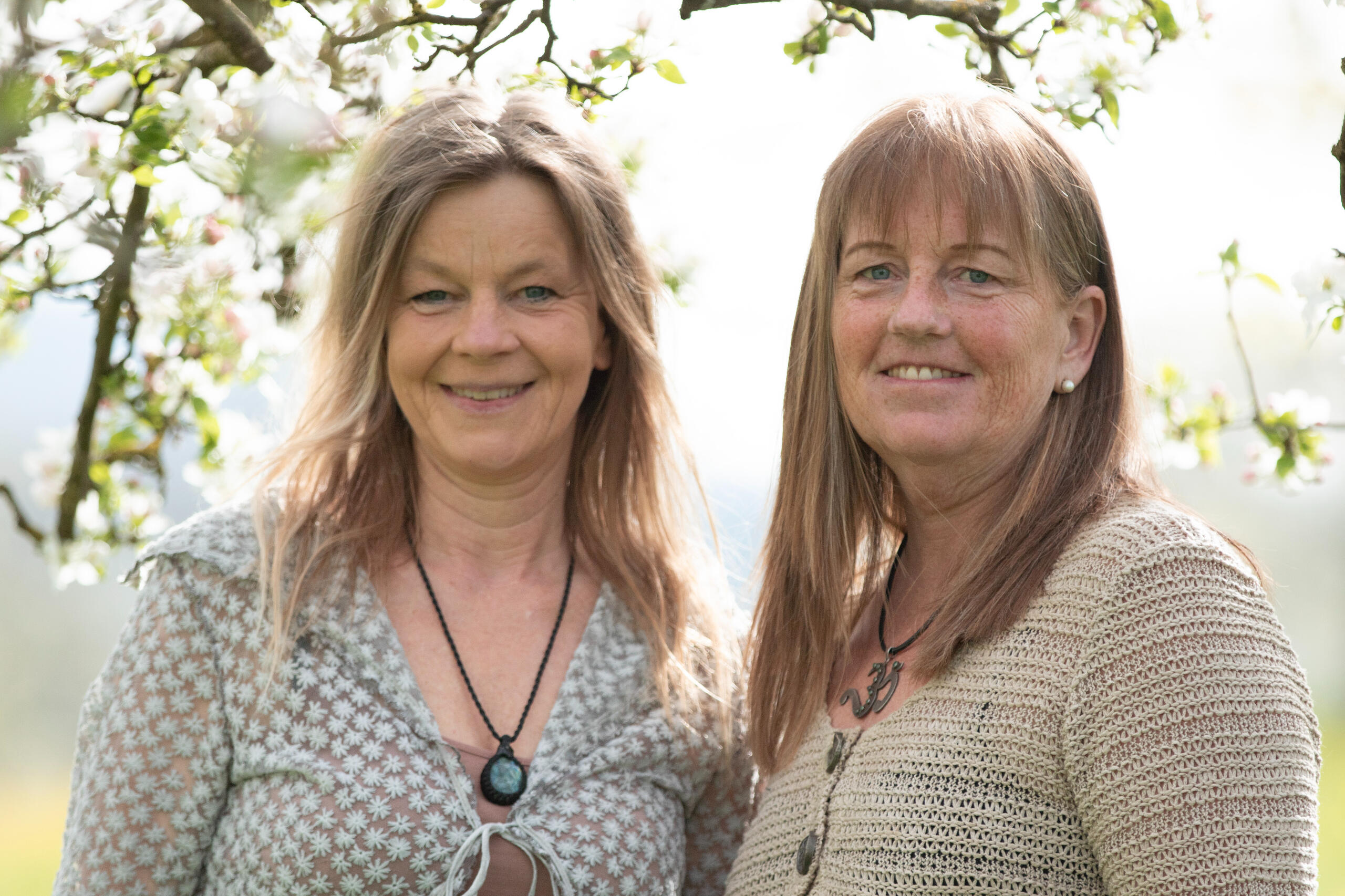 Weltenweberinnen mit vier Hunden in der Natur auf einer Wiese