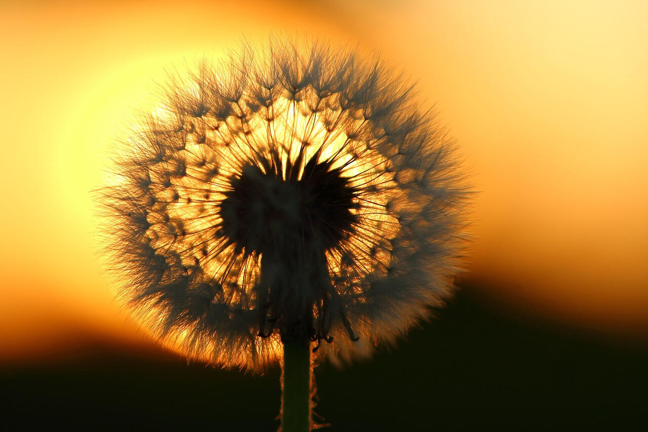 Zwei Frauen in der Natur